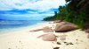 Anse Gaulette